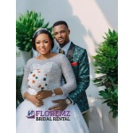 Elegant Silver Crystal Bodice Bridal Ball Gown – Renting