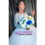 Sparkly Long Sleeve Wedding Gown Bridal Dress – Renting