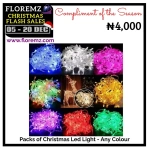 A Pack of Christmas Led Light - Any Colour
