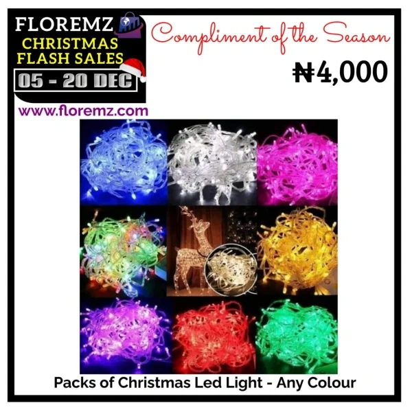 A Pack of Christmas Led Light - Any Colour