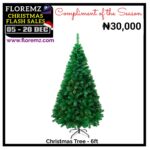 6ft Christmas Tree
