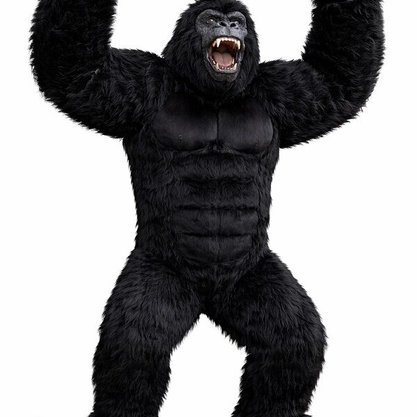 Premium Giant Inflatable King Kong Style Gorilla Mascot Costume for Rent in Lagos