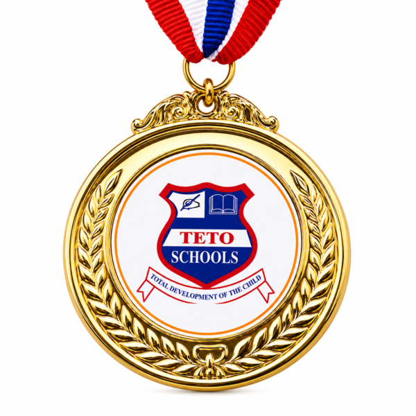 Grand Excellence Award Medal (Big Size)