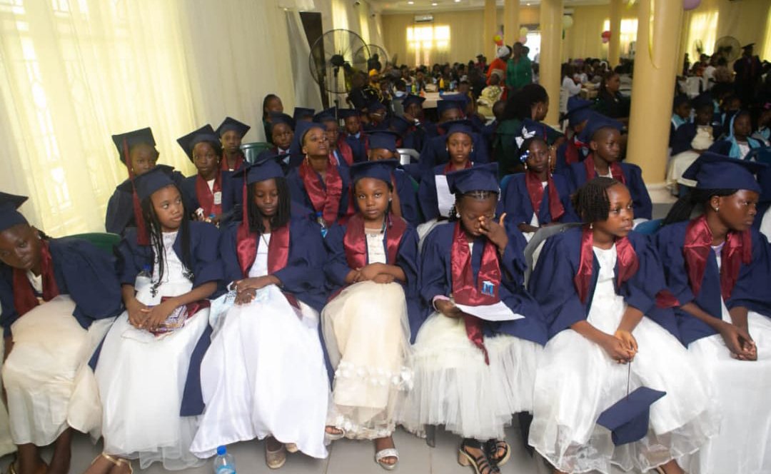 School Graduation gowns for Rental
