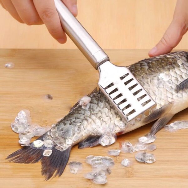 Stainless Steel Fish Scale Scraper