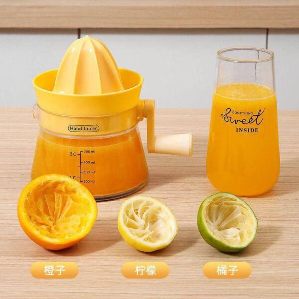 Manual Fruits Juicer Extractor