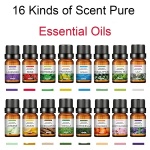 Humidifier Fragrance Oil